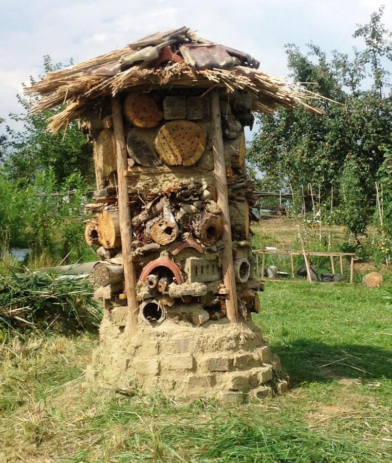Biohof Am Turawa-See Szczedrzyk Εξωτερικό φωτογραφία