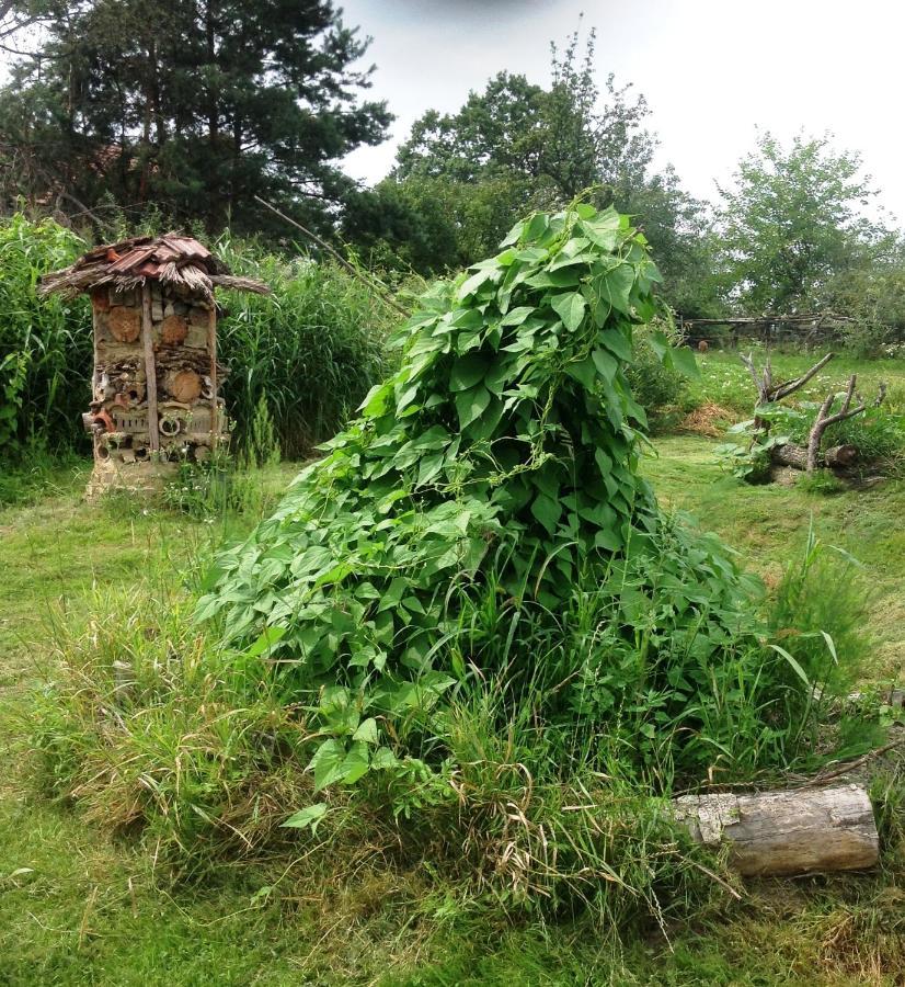 Biohof Am Turawa-See Szczedrzyk Εξωτερικό φωτογραφία